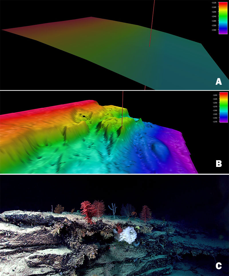 Prior to the Windows to the Deep 2018 expedition, this section of the Blake Escarpment appeared to be an area of low slope with no distinct features based on satellite altimetry. Image A shows satellite altimetry (Smith and Sandwell, 2014) at Dive 04 on  “Blake Escarpment South.” During the expedition, multibeam mapping revealed a series of terraced features (image B) and ROV exploration (at the site of the red mark) documented a highly diverse and dense community of deep-sea corals and sponges that were observed throughout the dive (image C).