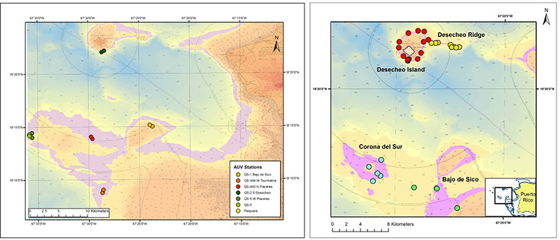 Location of historic queen snapper and silk snapper surveys on the west coast of Puerto Rico, including AUV surveys in the Mona Passage in 2015 (left), and ROV surveys in 2017 (right).