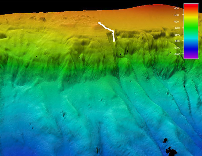 The remotely operated vehicle track for Dive 2, shown as a white line. Scale is water depth in meters.