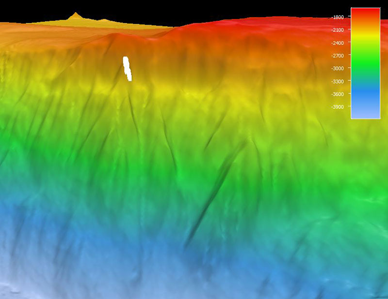 The remotely operated vehicle track for Dive 5, shown as a white line. Scale is water depth in meters.