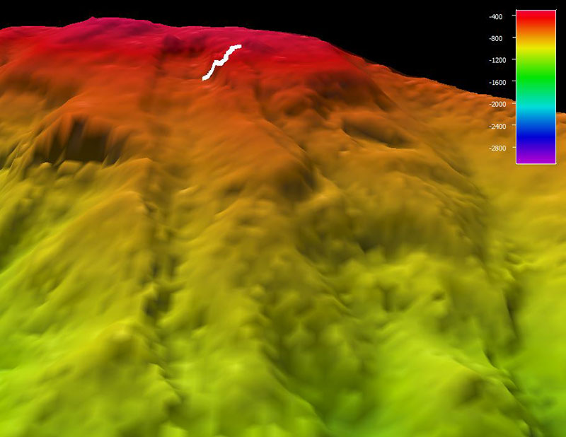 The remotely operated vehicle track for Dive 7, shown as a white line. Scale is water depth in meters.