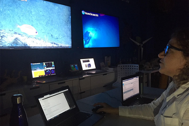 Aurea Rodríguez Santiago (Taller Ecológico de Puerto Rico) participa en la primera inmersión de ROV de la expedición Océano Profundo 2018 desde el recientemente establecido centro de comando de exploración en el EcoExploratorio Museo de Ciencias de Puerto Rico. Este nuevo centro de comando de exploración está siendo patrocinado por la Iniciativa de Exploración Tennenbaum y la Fundación Alma de Bahía.