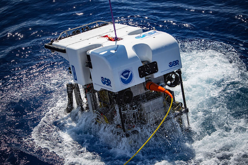 ROV D2 is being lowered into the water for a new deep-sea adventure.