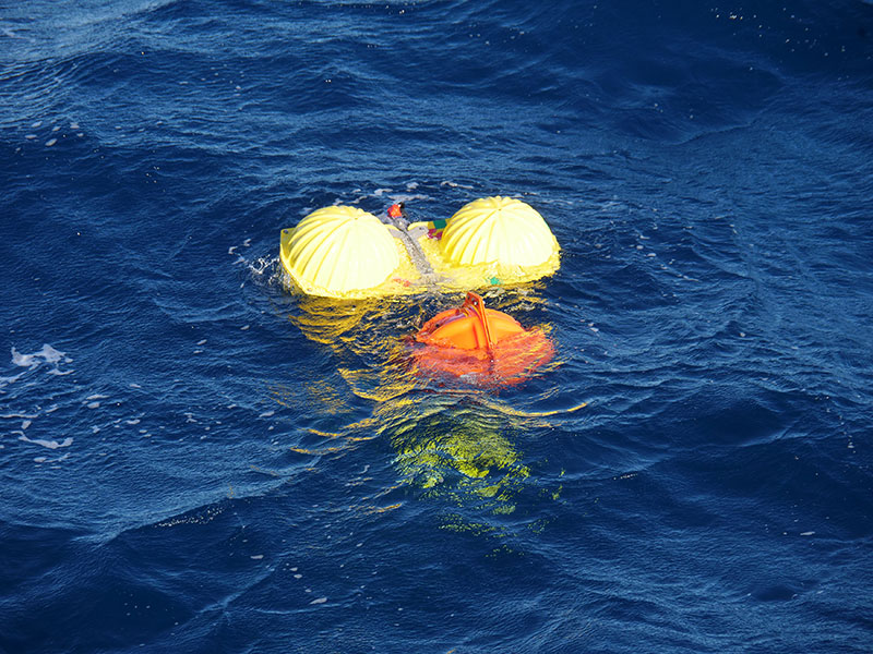 A portion of the hydrophone array at the ocean surface.  These hardhats contain a glass float for buoyancy and the battery cell.  Credit:  Levi Unema