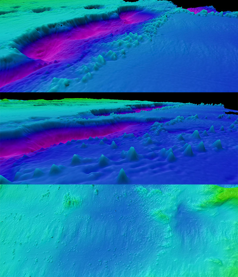Numerous mounded structures were discovered, both lining basins on the eastward side of the ASPIRE priority area and sporadically throughout the area. These structures range from 5 - 30 meters (16 - 98 feet) high and are likely deep-sea coral mounds, as similar features were discovered during previous expeditions in nearby locations.