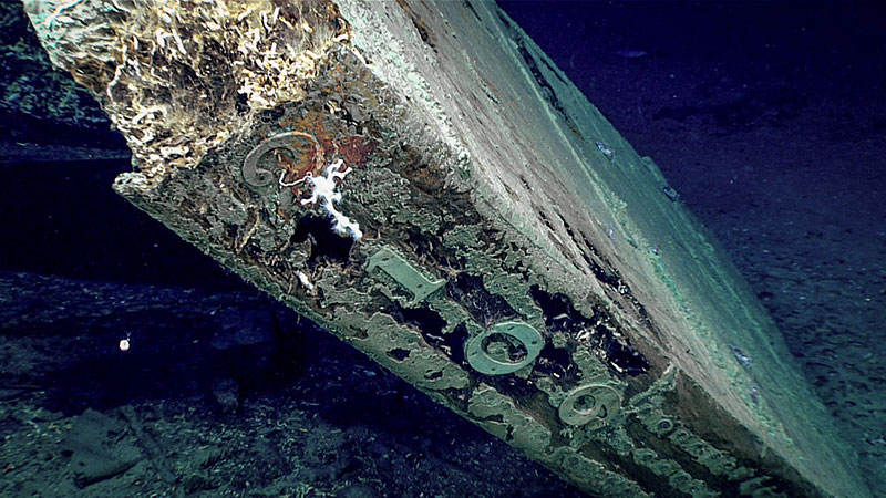 The numbers “2109” are visible along the trailing edge of the rudder. The pattern of nails securing the copper sheathing is plainly visible.