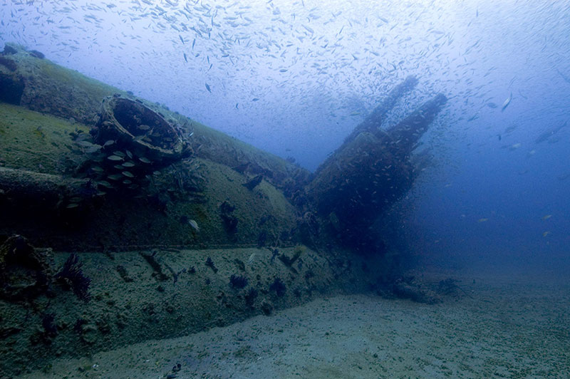 U-352, a German U-boat, sank on May 9, 1942, when U.S. Coast Guard Cutter Icarus dropped depth charges off the North Carolina coast. Today, an abundance of sea life teems on the wreck site.