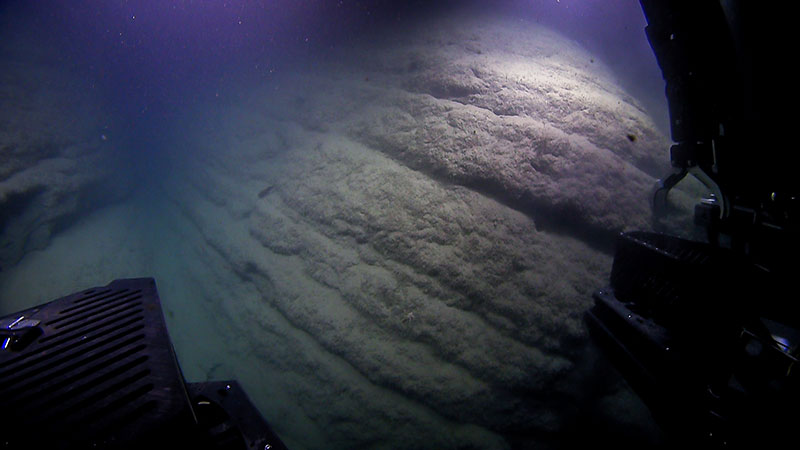 The canyon walls are illuminated by the lights of Deep Discoverer.