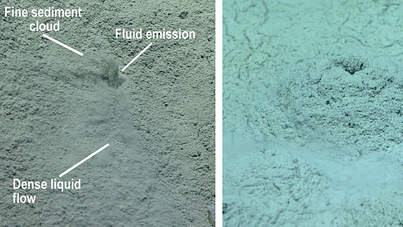  (Left) Fluid was observed shooting straight up a few centimeters from small holes (about one centimeter across) on top of the low relief mounds. The denser liquid component of the fluid effluent flowed downhill, while fine sediment entrained in the emission billowed into the water column. (Right) In some places, the fluid flows from the top of the low relief mounds have built sediment features a few centimeters high around the holes. 