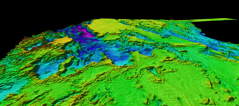 Multibeam bathymetry collected on a previous mapping expedition to the southeastern U.S. continental margin revealed complex seafloor features. Expedition planners will use previously collected data like this to help identify priority mapping areas and remotely operated vehicle dive locations.