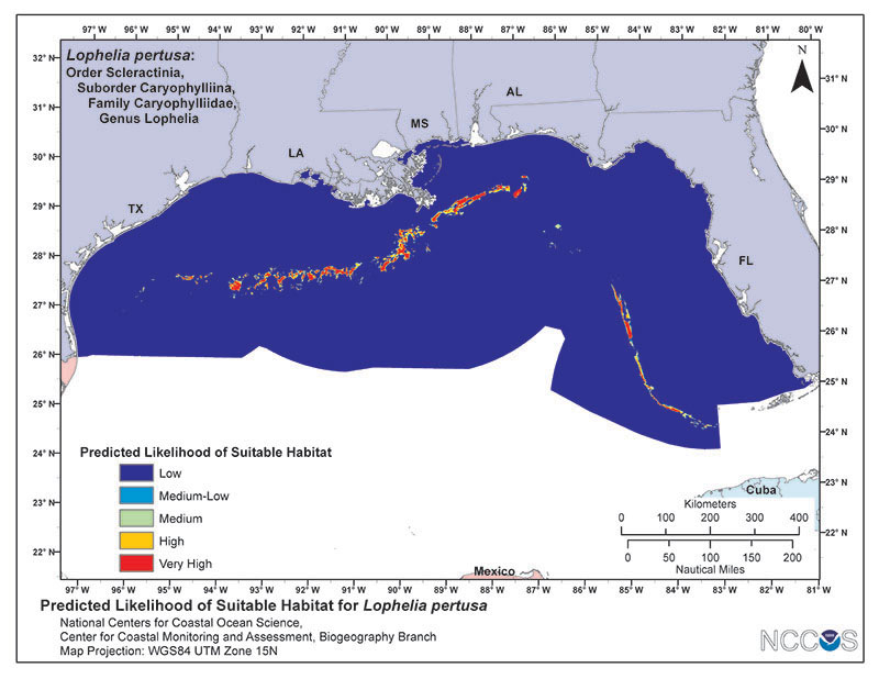 Predictive model of deepwater coral presence in the Gulf of Mexico.