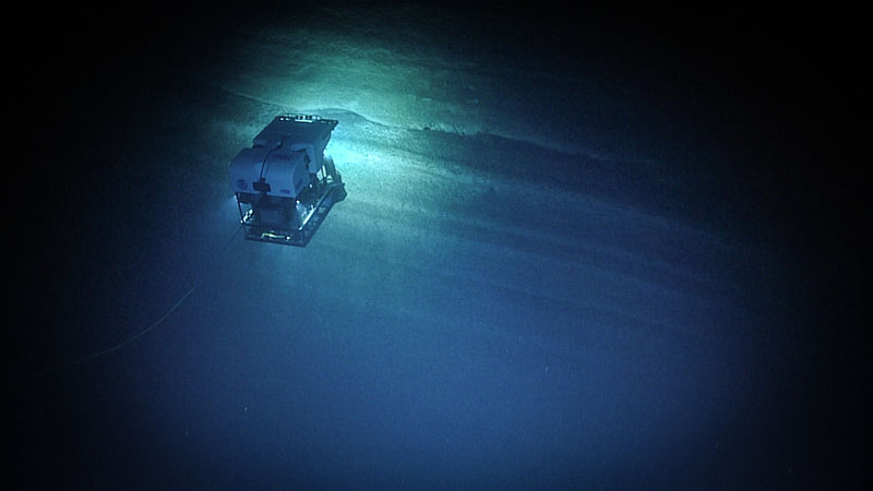 ROV Deep Discoverer surveying a stunning, near-vertical sequence of carbonate rock at Veatch Canyon. The wall was over 100 meters thick.