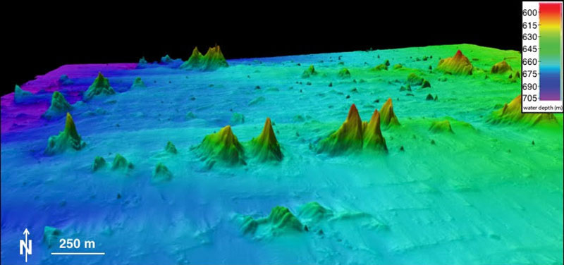 This bathymetry map shows cold-water coral mounds within the Straits of Florida. These mounds are characterized as conically shaped and range from a few meters to nearly 100 meters tall. The semidiurnal tidal current in this region allows cold-water corals to grow on all sides of these mounds, which furthers their expansion. Image courtesy of the Comparative Sedimentology Laboratory - Center for Carbonate Research (based on data from the NOAA Office of Ocean Exploration and Research and C&C Technologies).
