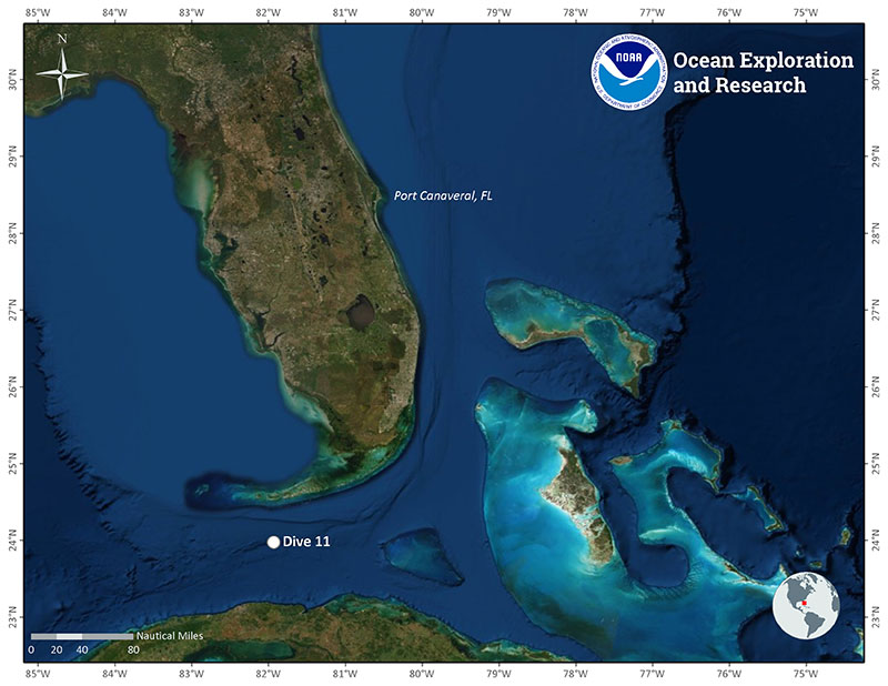 Location of Dive 11 of the 2019 Southeastern U.S. Deep-sea Exploration on November 18, 2019.