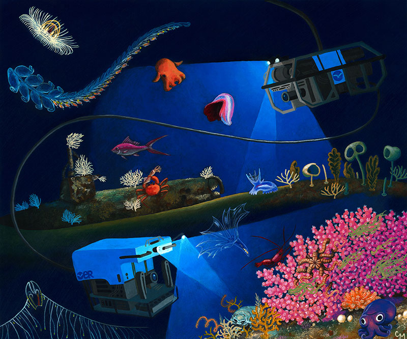 In this illustration, remotely operated vehicles Deep Discoverer and Seirios explore the seafloor and water column.
