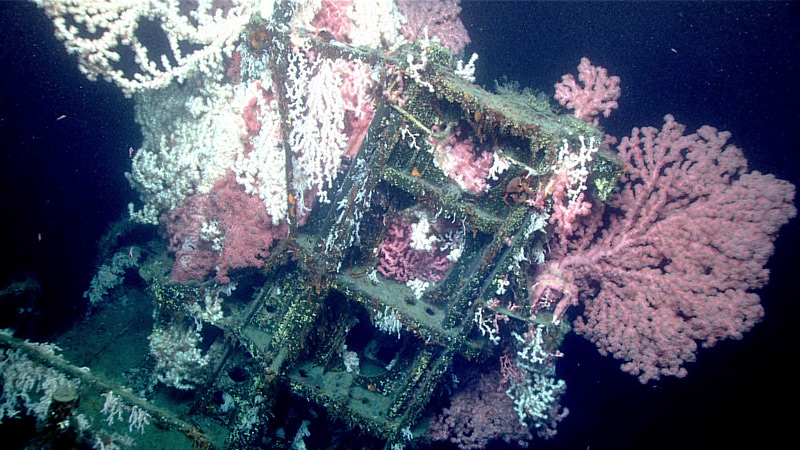 USS Muskallunge wreck