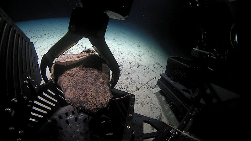 This rock sample was collected during the fourth dive of the 2021 North Atlantic Stepping Stones expedition from a sedimentrock pavement. Geologists speculated that the rock may be ice-rafted debris - also known as a dropstone - from an ancient glacier or volcanic rock that rolled down from further upslope.