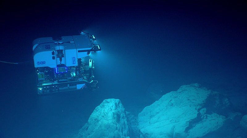 The lights of remotely operated vehicle (ROV) Deep Discoverer shine down on a rock outcrop during Dive 05 of the 2021 North Atlantic Stepping Stones expedition. Because ferromanganese crusts were relatively thin in places on these outcrops, geologists were able to identify the tops of pillow lavas as the ROV crossed over some of the outcrops.