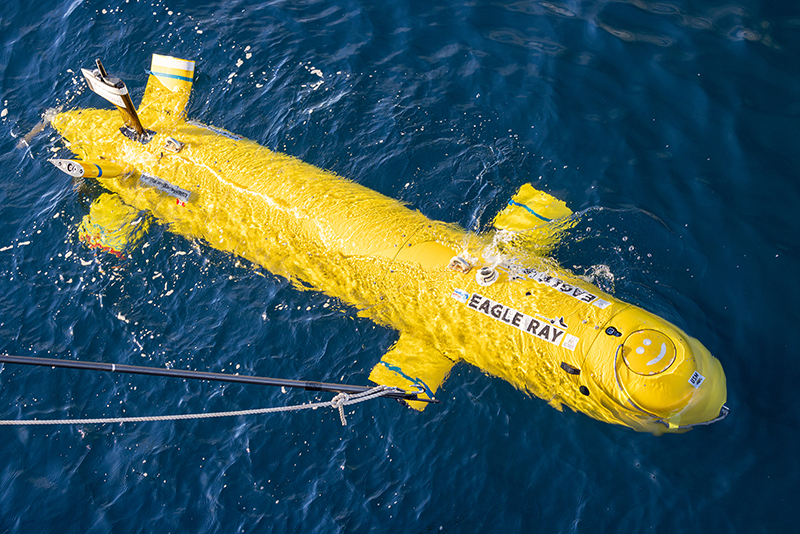 University of Southern Mississippi's autonomous underwater vehicle Eagle Ray.