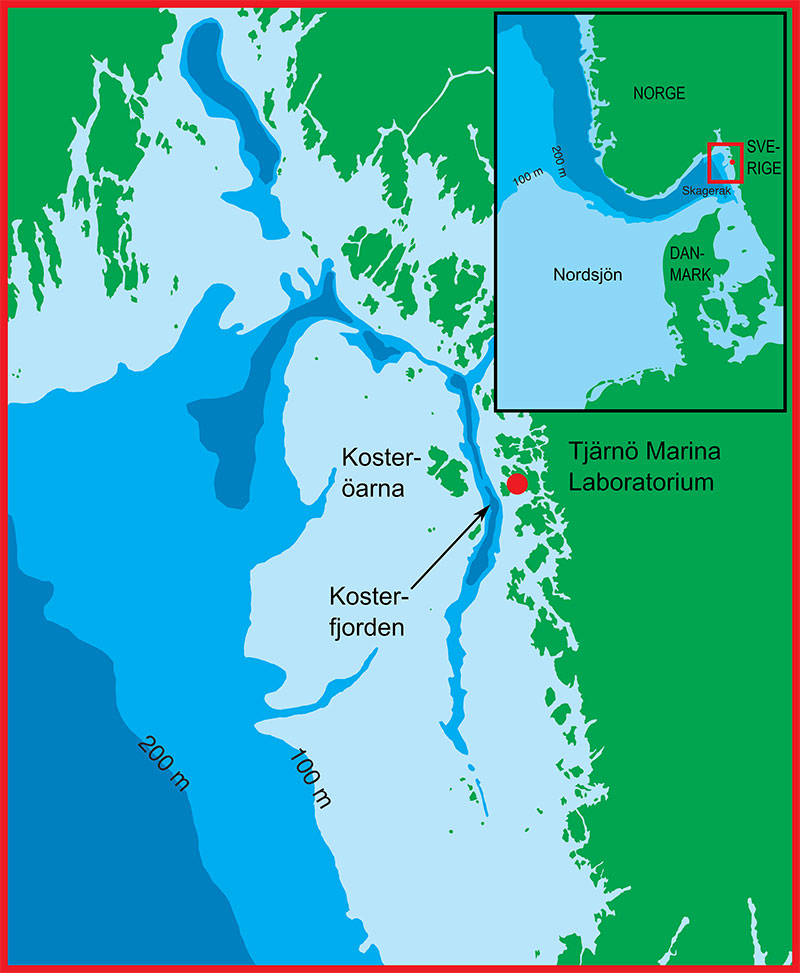 Karta över Sveriges nordvästra kust som visar Kosterfjorden och Tjärnö. Infälld karta visar Norska rännan som passerar Norges kust. 