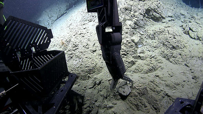 The arm of remotely operated vehicle Deep Discoverer reaches out to collect a rock sample during Dive 02 of the Seascape Alaska 3 expedition. This well-cemented, fractured mudstone, collected at a depth of 2,165 meters (7,105 feet), was one of three geological samples collected during the dive.