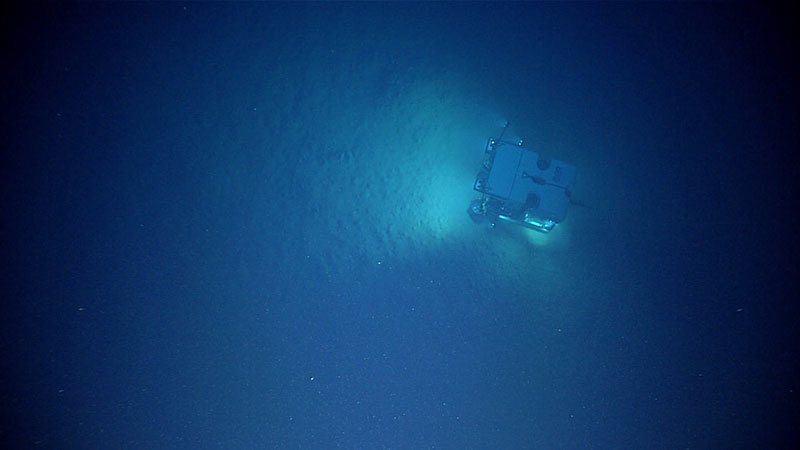 Remotely operated vehicle Deep Discoverer makes its way across a sediment plain at the beginning of Seascape Alaska 3 Dive 05 at a depth of approximately 2,800 meters (1.74 miles). The seafloor during this part of the dive contained a large number of biogenic burrows and mounds, indicating active life within the sediment.
