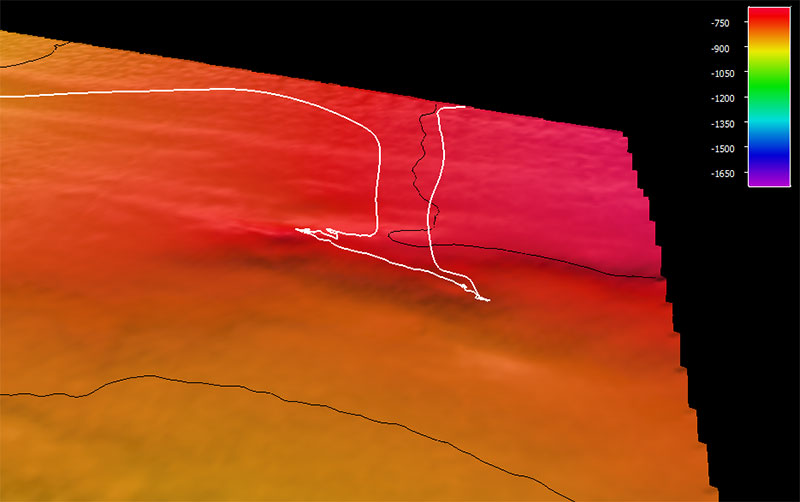 The dive track (white line) for Dive 14 of the Seascape Alaska 5: Gulf of Alaska Remotely Operated Vehicle Exploration expedition. Bathymetry shown at one-time exaggeration; 100 meter contours. Scale is water depth in meters.