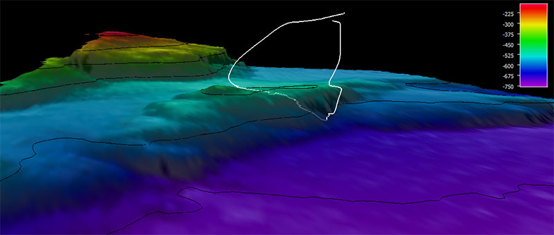 The dive track (white line) for Dive 19: Lone Island, of the Seascape Alaska 5: Gulf of Alaska Remotely Operated Vehicle Exploration expedition. Bathymetry shown at one-time exaggeration; 100 meter contours. Scale is water depth in meters.