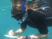 diver. diver.