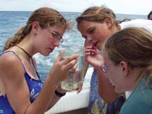 girl scouts and water sample. girl scouts and water sample.