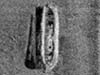 Side scan image of the E.B. Allen
