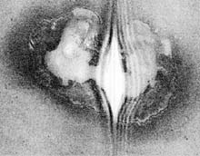 side scan image of sink hole