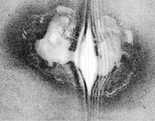 side scan image of sink hole