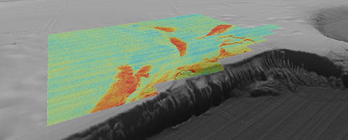 Figure 2. Multibeam backscatter data draped on bathymetry from the southern portion of the Blake Plateau survey. Warm colors are high intensity backscatter anomalies that show where the seafloor is hard and/or coarse. Low backscatter (cool colors) show where the seafloor is soft and/or smooth. Coral mounds, exposed carbonate, and sand drifts can be interpreted from these high backscatter anomalies.
