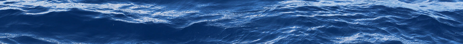 NOAA teams with Schmidt Ocean Institute to boost public understanding of the ocean
