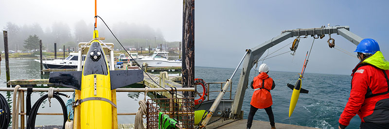 (Left) An acoustic Doppler current profiler (ADCP)-equipped Seaglider. The ADCP is the circular instrument in the middle of the glider. The orange antenna allows the Seaglider to transmit its data and position when it comes to the surface. (Right) The Seaglider is deployed by engineers Christina Ramirez and Kira Smith offshore of La Push, Washington.