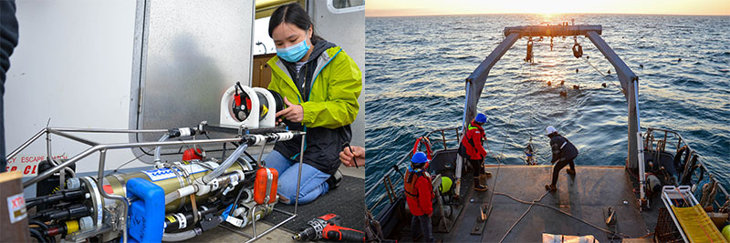 (Left) Research assistant Linda Nguyen attaches an acoustic Doppler current profiler (ADCP) to the CTD (conductivity, temperature, and depth). This ADCP will be used to collect acoustic backscatter data on the small organisms in the water column. (Right) The CTD is recovered using Research Vessel Robertson’s winch system as curious black-footed albatrosses watch from the water.