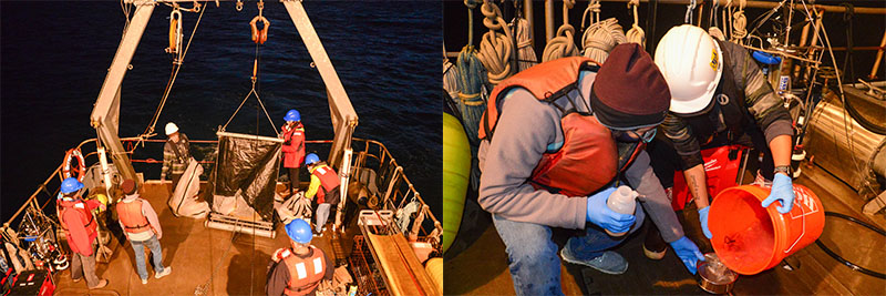 (Left) The team prepares the zooplankton tow net at dusk. Each night, zooplankton migrate to the water’s surface to feed on phytoplankton, making dusk the perfect time to use nets to collect samples. This is often referred to as “the greatest migration on Earth” as it happens in all ocean basins around the world. (Right) The zooplankton from the nets are collected in jars to be analyzed later under microscopes.