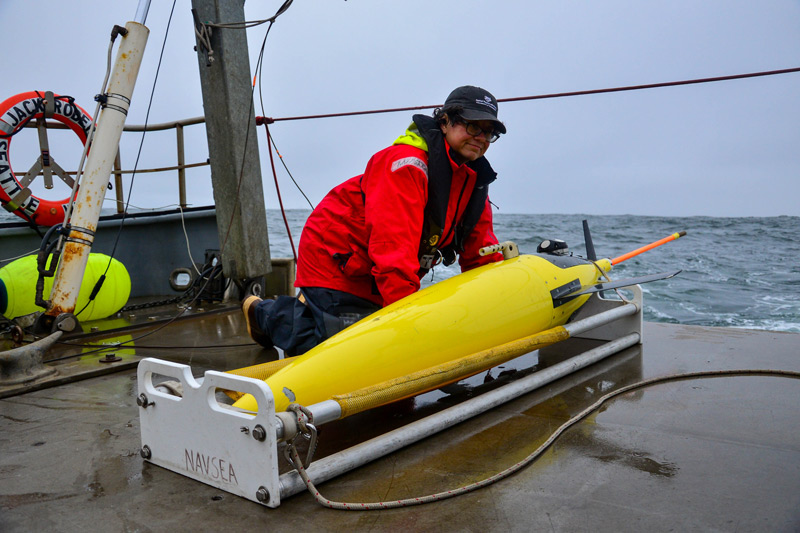 The ADCP-Equipped Seagliders team breathes a sigh of relief as the glider is secured on the deck following a successful recovery. Although the team has been in constant communication with this specially outfitted glider since its deployment, getting the glider back safely is still a big deal. Now, the research team will be able to download the full datasets that this Seaglider has collected, revealing critical information about the distribution of small organisms in the waters off of Washington.