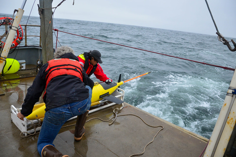 After being hoisted out of the water using the boat’s crane system, this specially designed Seaglider is secured to its cradle by the ADCP-Equipped Seagliders expedition team. Now that the glider is onshore, the team can consider their mission a success and explore the trends in the biological and physical data this Seaglider has been collecting.