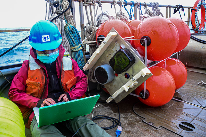 Research assistant Linda Nyugen has been patiently waiting for the acoustic echosounder from the Coordinated Simultaneous Physical-Biological Sampling Using ADCP-Equipped Ocean Gliders expedition to be recovered. Using acoustic release technology, the echosounder (seen here) was sent to the surface after several weeks of data collection. Now that it has been safely recovered, Linda can plug into the echosounder and download its contents, revealing rich acoustic data on the small organisms, like zooplankton and fish, that inhabit the area in which it was deployed. These data will be used as a comparison dataset to meet the mission goal of testing the utility of Seagliders for collecting similar data types.