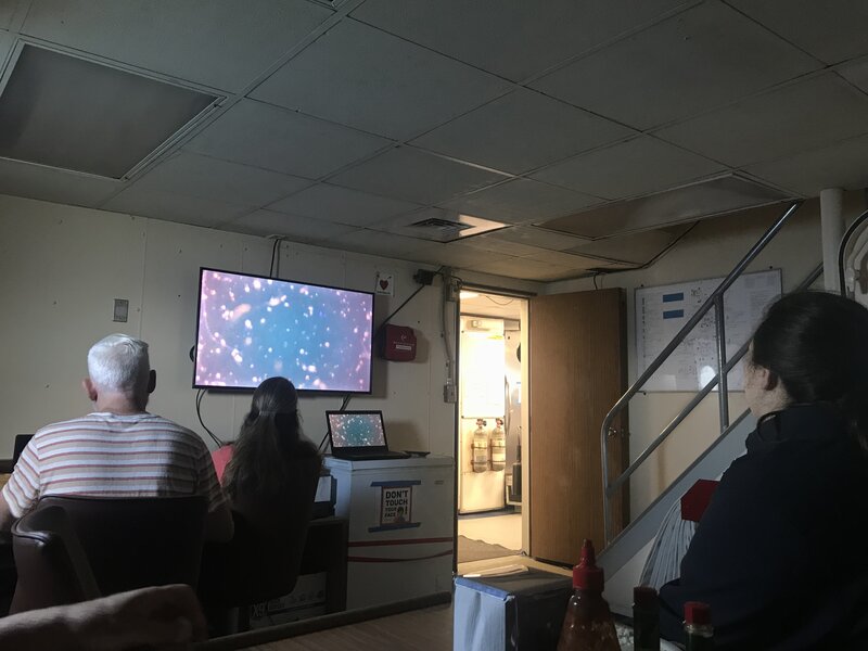 Members of the science team are transfixed as they watch video from the National Geographic Society’s Driftcam, taken from 70 meters (230 feet) depth.
