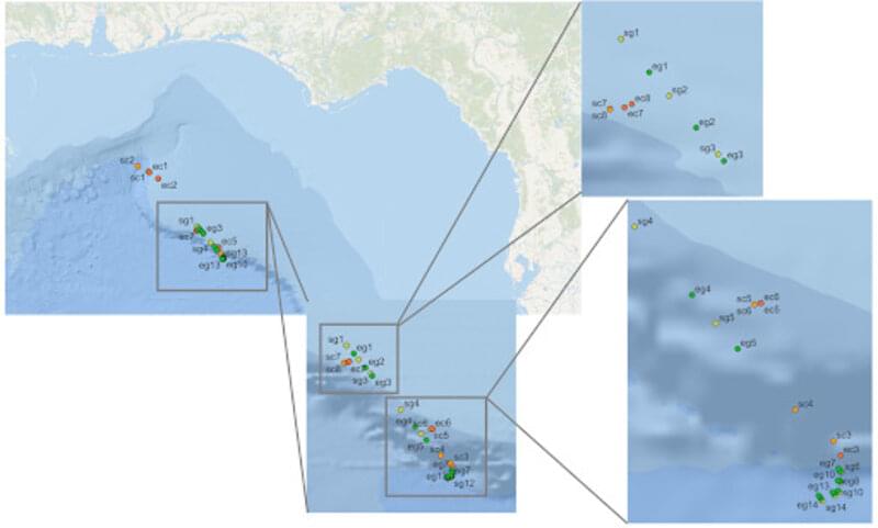 Figure 2. Map illustrating the deployments of both the Driftcams and Slocum Glider in the Gulf of Mexico from July 27-31, 2021. Labels “SC” and “SG” represent the start of Driftcam and Glider deployment, respectively. “EC” and “EG” represent the end of deployment for Driftcam and Glider, respectively.