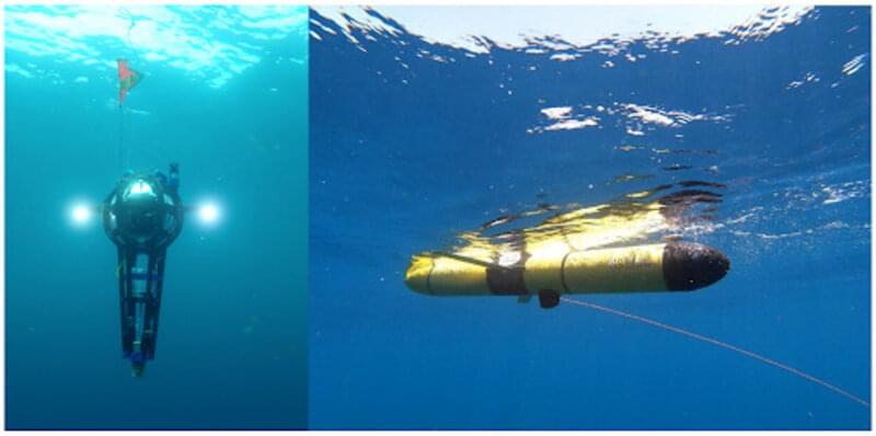 Figure 1. National Geographic Society Driftcam (left panel) and Teledyne Webb Research Slocum Glider (right panel) with echosounder housing protruding from the bottom of the glider.