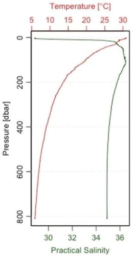 Figure 5. Water column profile of temperature and salinity at 29N, 87.6 W, where the water column exhibited a strong change in salinity in the upper 50 meters (164 feet) and matches the high-nutrient, productive waters (i.e., greater amounts of Chlorophyll a) being pushed offshore from the Mississippi River. The green line represents practical salinity, the red line represents temperature, and the y-axis is a measure of depth.