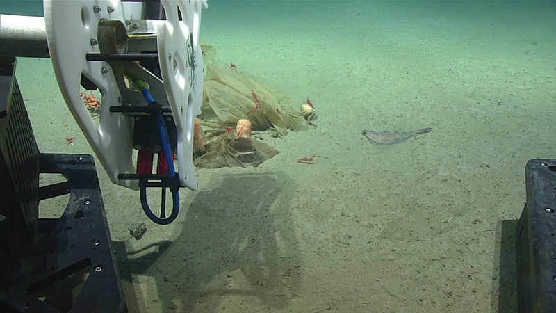 SeaVision mounted on ROV Deep Discoverer as the mission team prepares to scan marine debris.