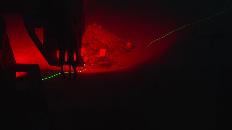 Scanning the same marine debris using red ambient light and a complimentary green laser.