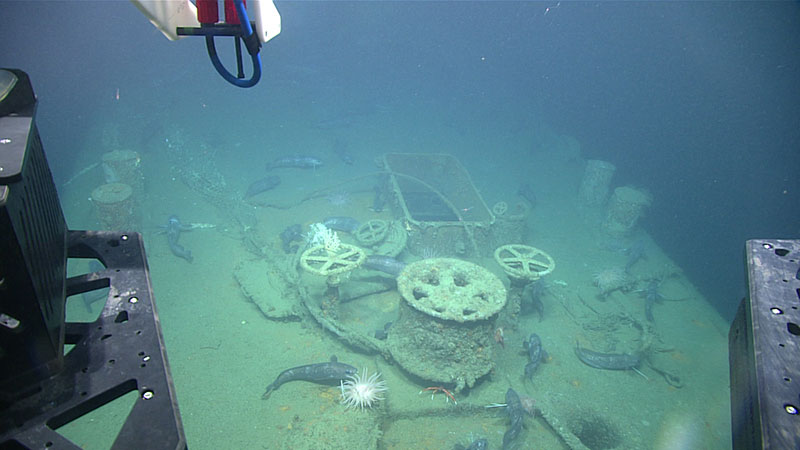 Image from ROV Deep Discoverer looking down at a capstan on the forward deck, with the prow towards the bottom of the image. Note the hake fish aggregated on the ship.