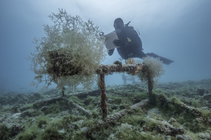 Exploring the Sunken Heritage of Midway Atoll: Maritime Midway