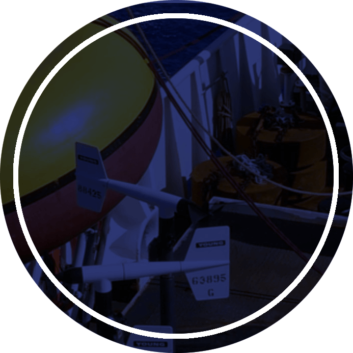 NOAA 'Omics Strategic Plan 2021-2025 button
